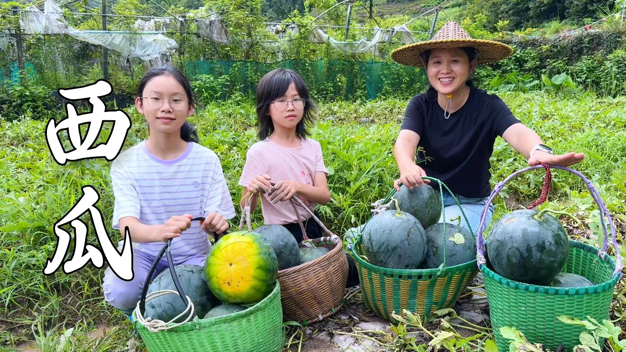西瓜烂了不少,摘完西瓜,去换桃子