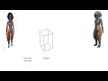 Meshes - Unity Tutorials