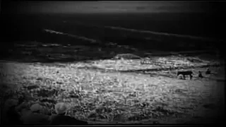 اسمع اجمل كلمات عبد الوهاب محلاها عيشه الفلاح 