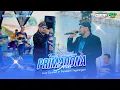 Download Lagu NEW PALLAPA PRIMADONA DESA - FANDI PRADANA - GRPP COMUNITY RAMAYANA AUDIO