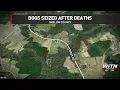Five rottweilers seized in Onslow County after multiple animal deaths