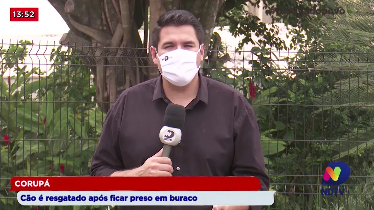 Corupá: Cão é resgatado após ficar preso em buraco