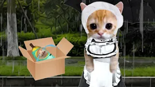 BANANA CAT 🍌🐱 BABY BAD LUCK 😿 VIDEOS 94 ( 2 MINUTES )