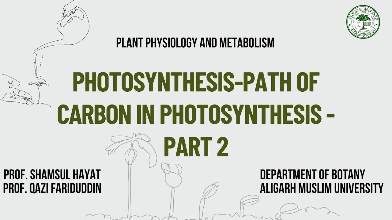 Photosynthesis-Path of Carbon in photosynthesis - part 2