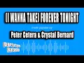 Peter Cetera Crystal Bernard - I Wanna Take Forever Tonight Karaoke Version