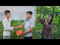 Download Lagu Tuans verrassingscadeau voor Tieu Ca: zal het het hart van de alleenstaande moeder sneller doen klop