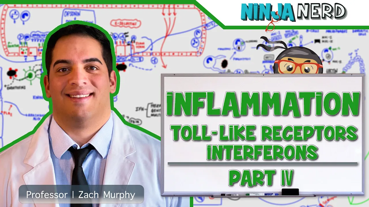 Outline Video Immunology | Inflammation: Toll Like Receptors and Interferons: Part 4
