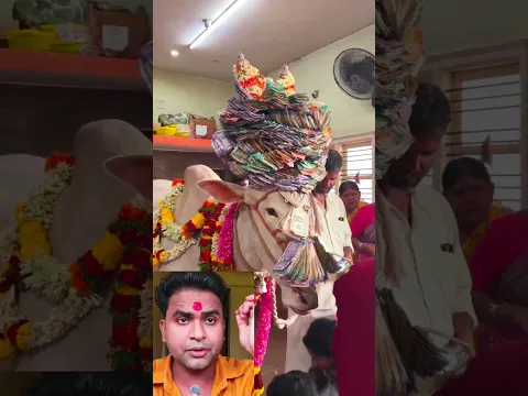 नंदी बाबा #shorts #trending #viralvideo