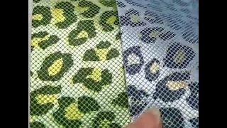        دندنها