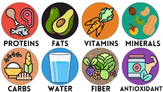 Every Essential Nutrient Your Body Needs Explained