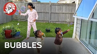 Daily Vlog EP.216 | BUBBLES | Family Vlog | Life in New Zealand | @BoomBaangh