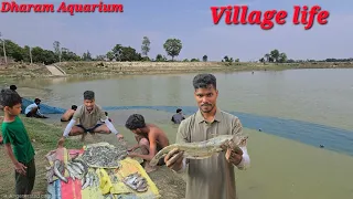 Biggest pond fishing 🐟 in my village and all person fishing in pond