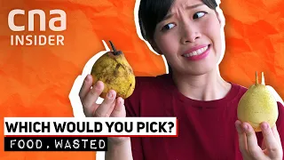 Download Why Are We Throwing Away Perfectly Edible Food | Food, Wasted 1/3 MP3