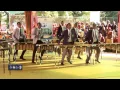 Download Lagu Hillcrest College - Marimba Challenge Cup Winner