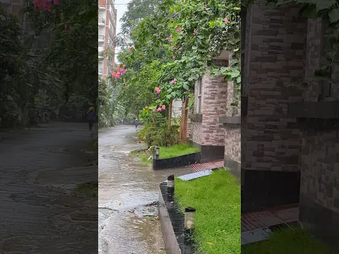 🌧 Rainy Morning ☔