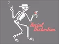 SOCIAL DISTORTION - Cold Feelings (With Lyrics)