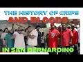 THE HISTORY OF CRIPS BLOODS IN SAN BERNARDINO