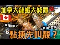 Download Lagu 加拿大龍蝦滯銷大減價！ 公乸原來有分別  點揀先靚？ 蒸幾耐？ 仲有咩海鮮？ 夜鬼食晨