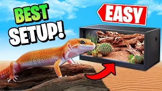 The Best Leopard Gecko Setup