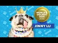 50th annual World s Ugliest Dog crowned
