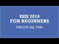SSIS 2019 Execute SQL Task Return Data from SQL Server Database to Package Variables
