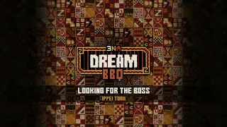 ENA: Dream BBQ OST - Looking for the Boss