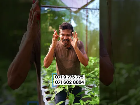 all about sri lanka gardening