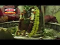 Download Lagu Shankar Bholenath Hai Tumhara Hamara - शंकर भोले नाथ है तुम्हारा हमारा || Manish Tiwari