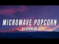Download Lagu Bo Burnham - Microwave Popcorn (Lyrics)