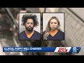 Kenosha couple arrested after police seize 27 dogs in alleged illegal puppy mill
