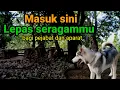 Lagu Semula Pelarian buronan Pajang..Kini Makam Syekh Muqodar lokasi Pantangan Pejabat Aparat berseragam.
