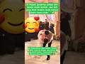 Download Lagu Emotional First Dance at the Wedding 💍✨‼️#shorts