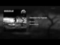 Stemmen Fra Taarnet - Burzum