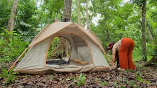 camping di hutan suasana di hutan ini sunyi sekali hanya terdengar suara burung