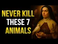 Lagu Saint Teresa Revealed: The 7 Animals a Christian Should NEVER Kill — Few People Know This!