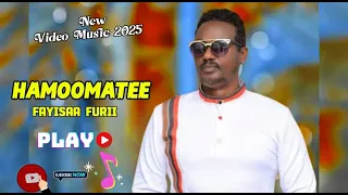 Fayyisaa Furii HAMOOMATEE New Oromo Video Music 2025 