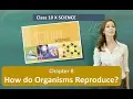 How do Organisms Reproduce CLASS 10 SCIENCE NCERT CHAPTER 8