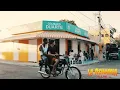 BAD BUNNY x EL ALFA - LA ROMANA | X100PRE [Visualizer]