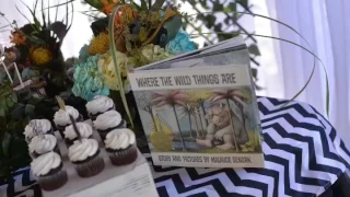Where the Wild Things Are 1st Birt ay Party