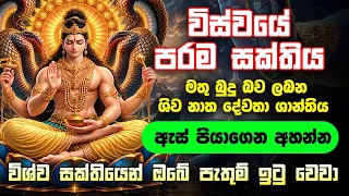 විස්වයේ පරම සක්තිය මතු බුදු බව ලබන ශිව නාත දේවතා ශාන්තිය - Siva Natha Dewa Mathri Bawanawa