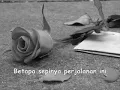 Sampai Hati - Spring (Lyric)