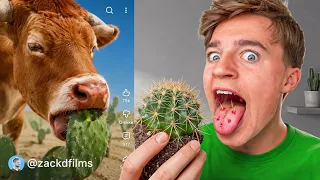 I Tried Every Zack D. HACK!