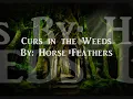 Curs in the Weeds  By: Horse Feathers (W/ Lyrics)