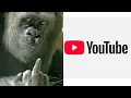 YouTube is a Joke