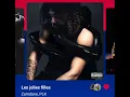 Zamdane, PLK Les Jolie filles (Version Skyrock)