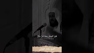 اليوم يوم الملحمة  دندنها