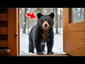 Download Lagu Mann lässt ein frierendes Bärenbaby ins Haus – was es dann tat, war völlig schockierend!