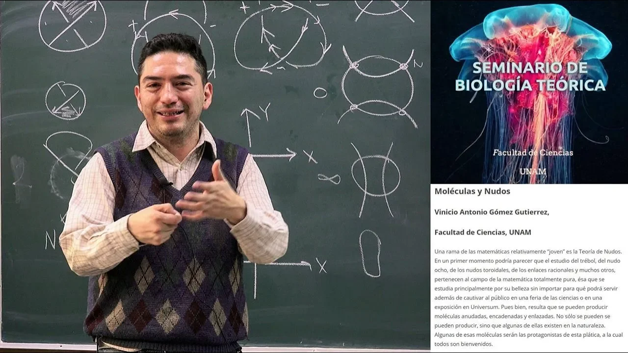 Moléculas y nudos (Vinicio Gómez)