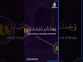 Download Lagu Surah Al Hujrat (49:13) | Quran Recitation ❣️
