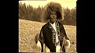 Dereje Zemedu Dammee Maaloo 